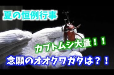 【夏休み恒例】カブトムシ探してたら藤岡弘、と哀川翔とトーテムポールが現れた！【モノマネ】