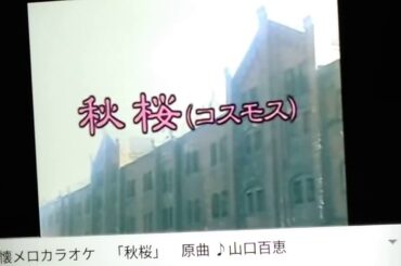山口百恵さんの  🎤💃🎵☕   秋桜  歌わせていただきました🎈🎈