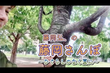 【藤岡弘、の藤岡さんぽ～ひぐらしのなく夏に～】