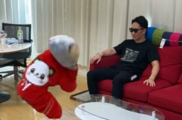 【朝倉未来】きなこちゃん、パーカーよく似合ってますね😃仰向けで着させられてる時の舌だした表情が たまらなく可愛いです❤️✨🥰