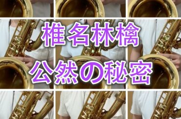 【バリトンサックス】椎名林檎  / 公然の秘密【9本】