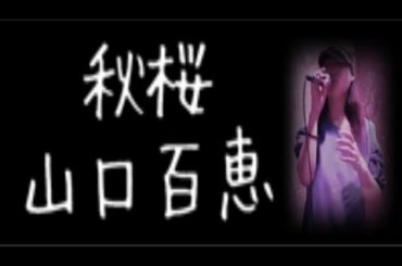 山口百恵 コスモス 秋桜 ゆうこりん ゆうこりんチャンネル