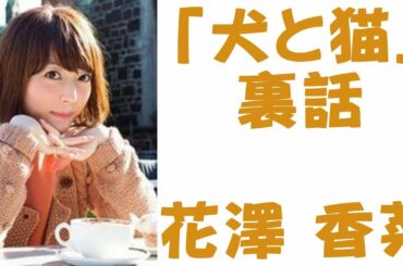 [花澤香菜]犬と猫　裏話　[Kana Hanazawa]