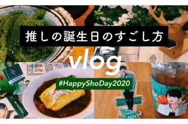 vlog | 推しの誕生日を満喫するオタクOLの1日🌺 新大久保 / 原宿 / 銀座