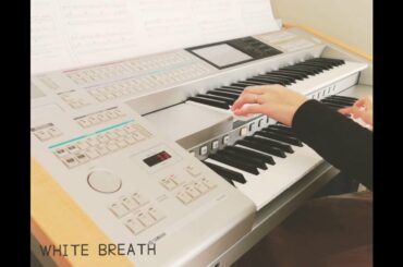 エレクトーンで西川貴教さんのWHITE BREATH を弾いてみました