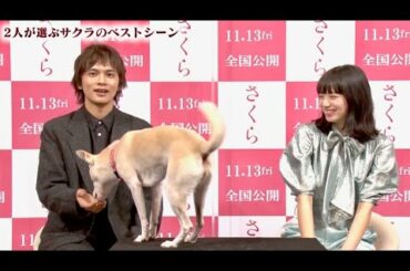 北村匠海&小松菜奈がトーク中でも自由奔放なちえ／映画『さくら』インタビュー映像