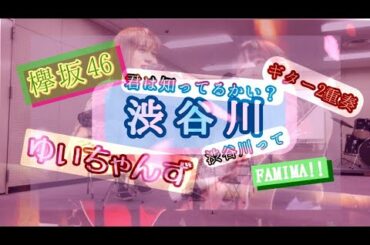 渋谷川 / 欅坂46(ゆいちゃんず) ギター2重奏