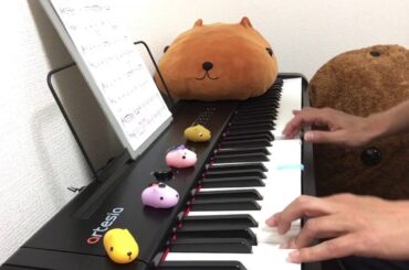 day 178【ピアノ初心者】ハッピーバースデーの曲　深田恭子さん 誕生日おめでとうございます！