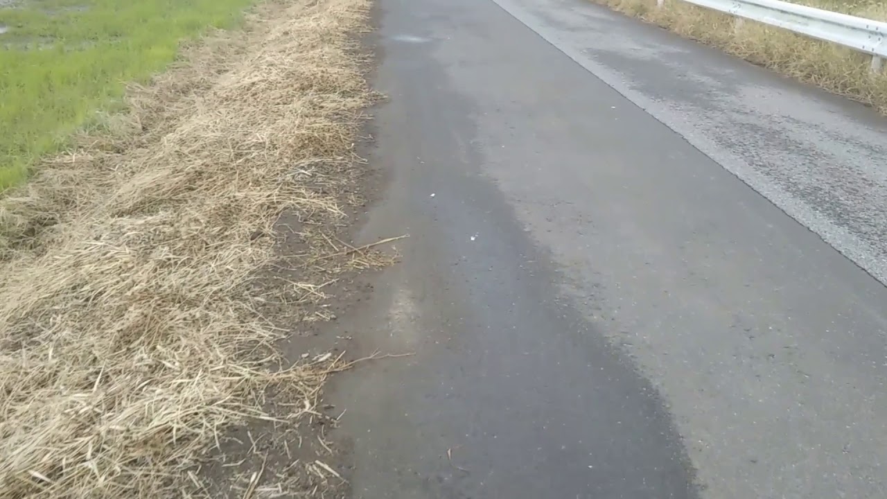 朝倉未来と那須川天心は弱虫　格上と闘わないのは負けるのが怖いから