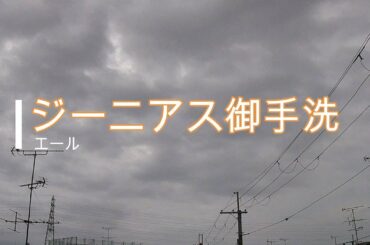 NHK朝ドラ「エール」ジーニアス御手洗って、副音声でやりたい放題のミュージックティーチャー（古川雄大）😀感想BGM