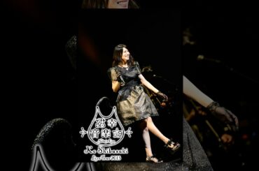 Ko Shibasaki Live Tour 2013～neko's live 猫幸 音楽会～