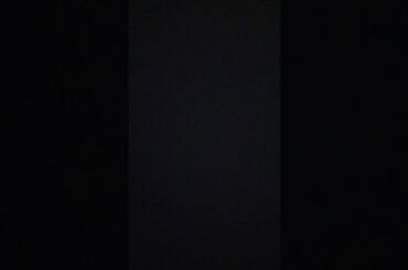 アメリカ大統領選挙をドビーが語ります