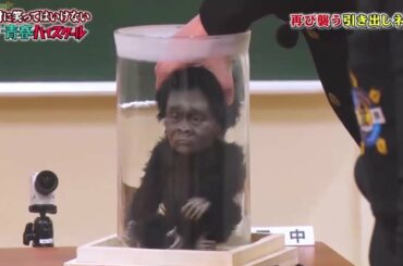 《浜田雅功》ビン詰めの浜田子ゴリラ 🗾🗾【Gaki No Tsukai Batsu Game No Laughing Youth High School Funny Moments 】