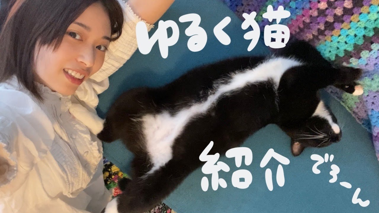 【癒し】まったりでか猫とのんびり日曜日 【癒し】まったりでか猫とのんびり日曜日