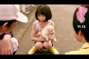 北村匠海の優しい声が3兄弟妹と愛犬を見守る／映画『さくら』本編映像