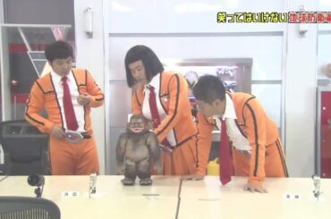 「浜田雅功」 三三七拍子で応援🌈🌈 Gaki No Tsukai Batsu Game NO LAUGHING EARTH DEFENSE FORCE