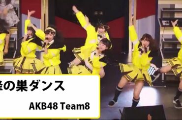 蜂の巣ダンス AKB48 Team8