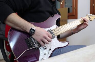 Schecter SD-II-24 Japan on Canon M100 | Audio/Video test