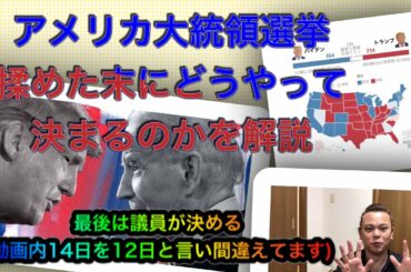 【動物愛護関係無し！】アメリカ大統領選挙はどうやって決着するか解説です。投票は関係無くなるかも？60日連続投稿中