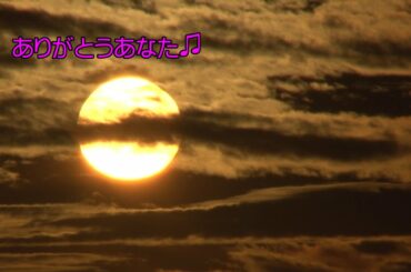 ありがとうあなた（赤い疑惑） 　山口百恵　ぐぁんちゃん　自宅録音m(__)m