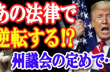 米大統領選・トランプ氏の逆転を、あの法律が後押し！？ジャーナリスト木村太郎氏が語る奇策とは…【日出づる国TV】