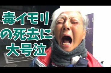池田エライザの妹に毒イモリが亡くなった事を教えてあげた