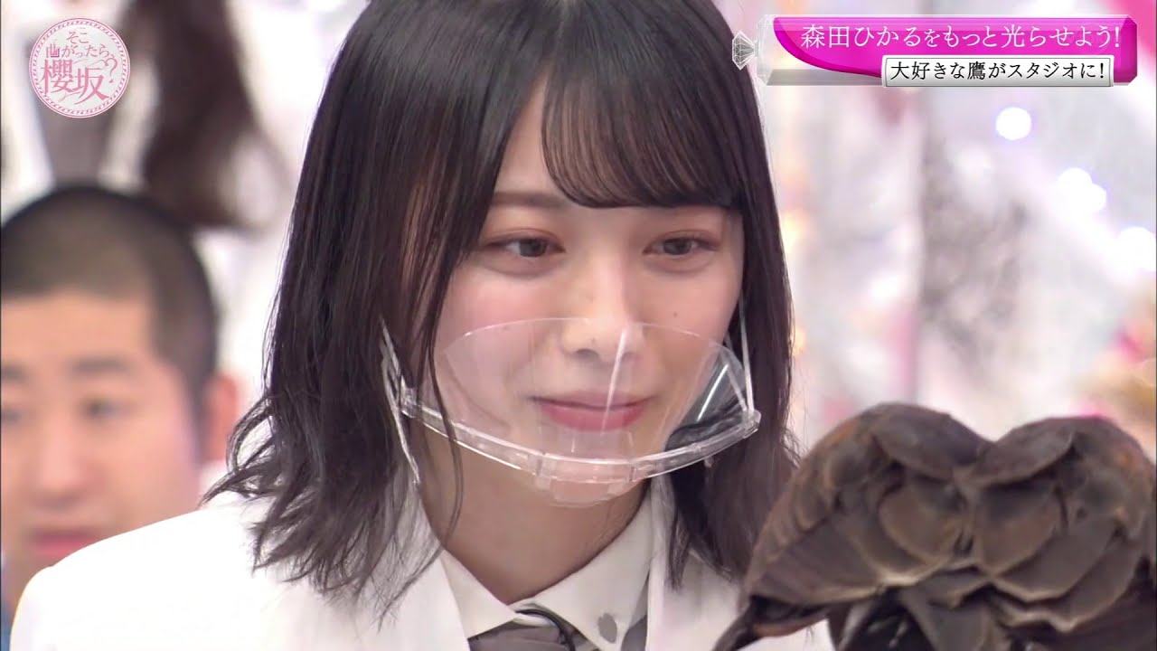 鷹と戯れ、走り高跳びをする森田ひかる【櫻坂46】