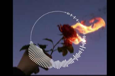 【フリートラック/free track】lofi/hiphop/nujabes/椎名林檎/type beat 「rose」[フリースタイル/ラップ楽曲/歌モノ用]