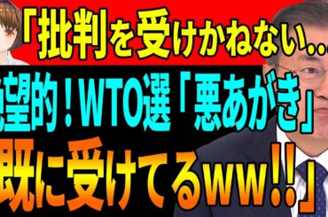 😅残念😅　WTO事務局長選 中国に背かれ、アメリカ大統領選で決定的…。「悪あがき」と国際社会の批判を受けたくない！って…笑【韓国 経済 ニュース 最新】933.