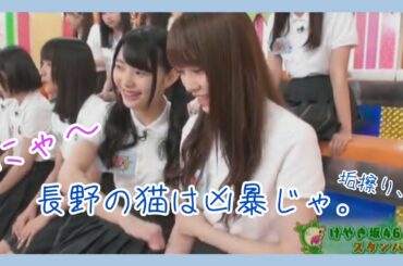 【日向坂46】凶暴な芽実ねこ。