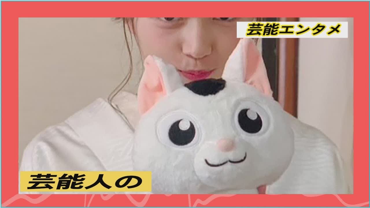 川口春奈、「極主夫道」で人生初の白無垢ショット “リアル天使”なかわいさで周囲の心を狂わせてしまう 川口春奈、「極主夫道」で人生初の白無垢ショット “リアル天使”なかわいさで周囲の心を狂わせてしまう