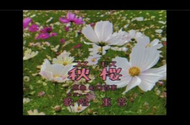 秋桜/山口百恵（cover by 重音）