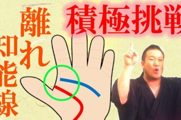 手相占いで積極的に挑戦する！知能線が生命線と離れる人はビッグチャンスを掴める！生田絵梨花、水卜麻美、田中みな実、香取慎吾、葉加瀬太郎【ブルース・リーの名言】