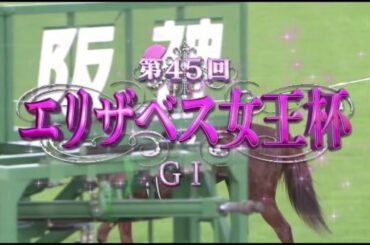 【競馬】20/11/15 第45回 エリザベス女王杯（GⅠ／阪神・芝2200m ﾗｼﾞｵ実況版）