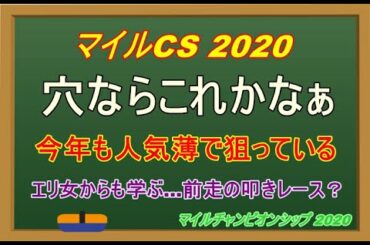 【マイルCS 2020】ヒモで穴馬1頭なら叩き万全の？