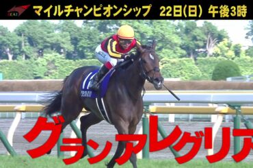 マイルチャンピオンシップ 22日(日) 午後3時
