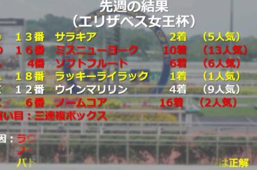 GⅠマイルチャンピオンシップ　登録馬の強み・弱み