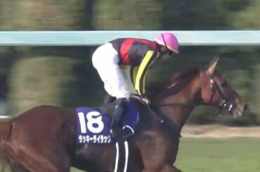 2020/11/15 第45回 エリザベス女王杯（GⅠ）【ラッキーライラック】