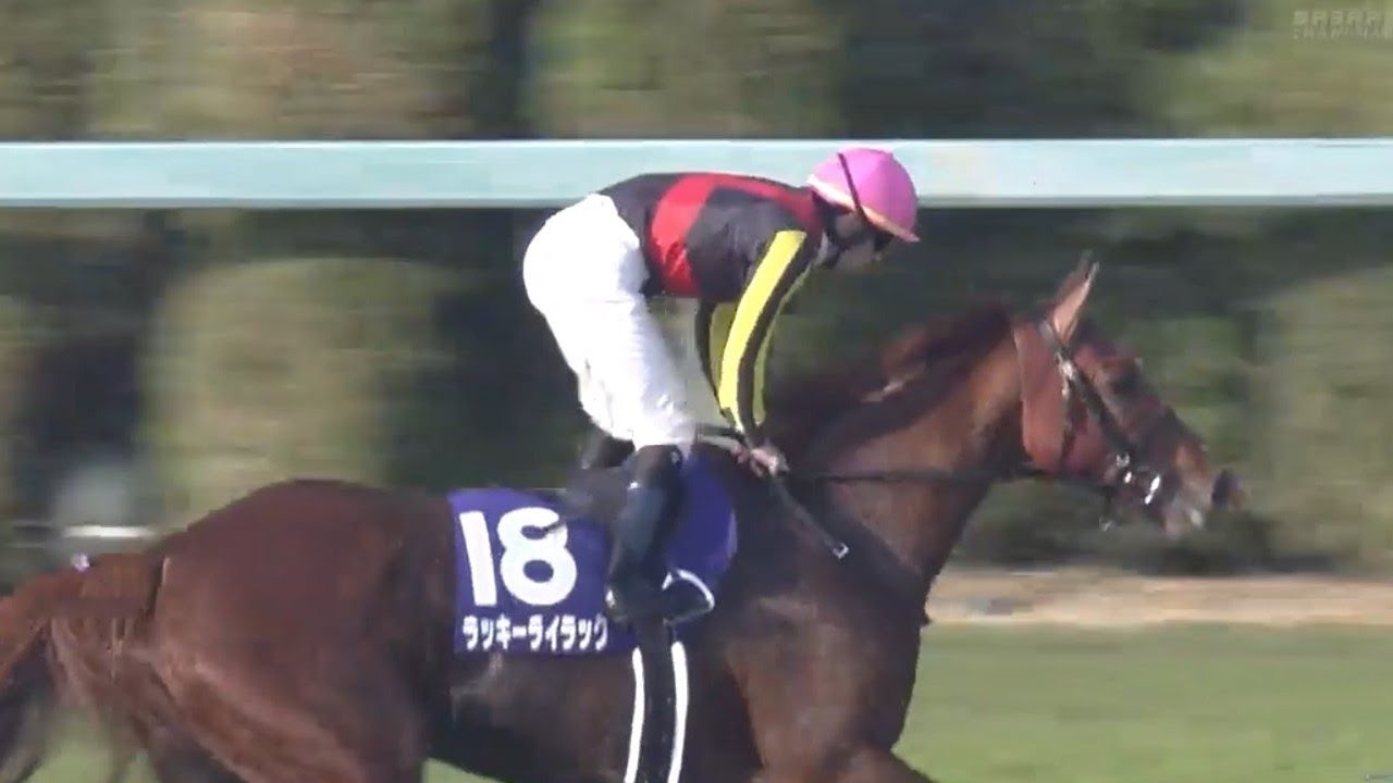 2020/11/15 第45回 エリザベス女王杯(GⅠ)【ラッキーライラック】 2020/11/15 第45回 エリザベス女王杯(GⅠ)【ラッキーライラック】