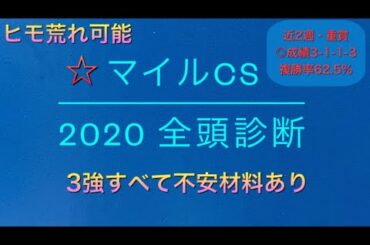 【競馬予想】　マイルCS 2020 全頭診断　事前予想