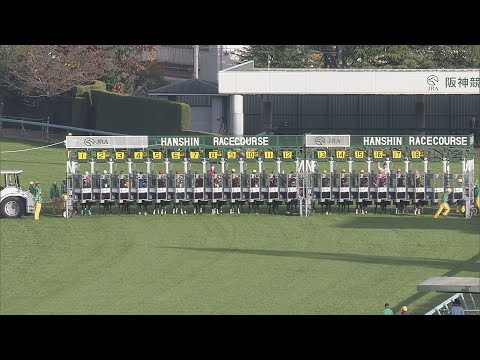 2020 エリザベス女王杯