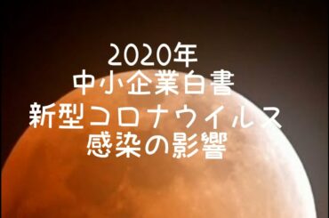2020年中小企業白書　新型コロナウイルス感染症の影響