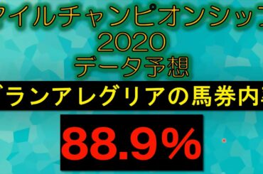マイルチャンピオンシップ2020　データ予想　グランアレグリア馬券内率88 9％