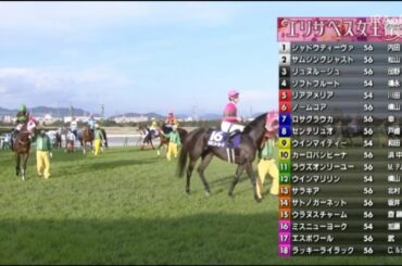 2020/11/15 エリザベス女王杯(G1)ﾗｯｷｰﾗｲﾗｯｸ･ﾉｰﾑｺｱ･ｻﾗｷｱ･ﾗｳﾞｽﾞｵﾝﾘｰﾕｰ 3冠馬デアリングタクトとアーモンドアイ不在の女王決定戦レース【競馬】JRA Racing