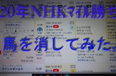 2020年マイルCS G1天才全頭診断1週前予想