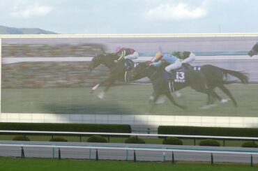 2020年第45回エリザベス女王杯【現地】ノリさんのまさかの大逃げ　勝ったのはラッキーライラックが連覇GⅠ４勝目！そして阪神GⅠ３勝の初快挙‼