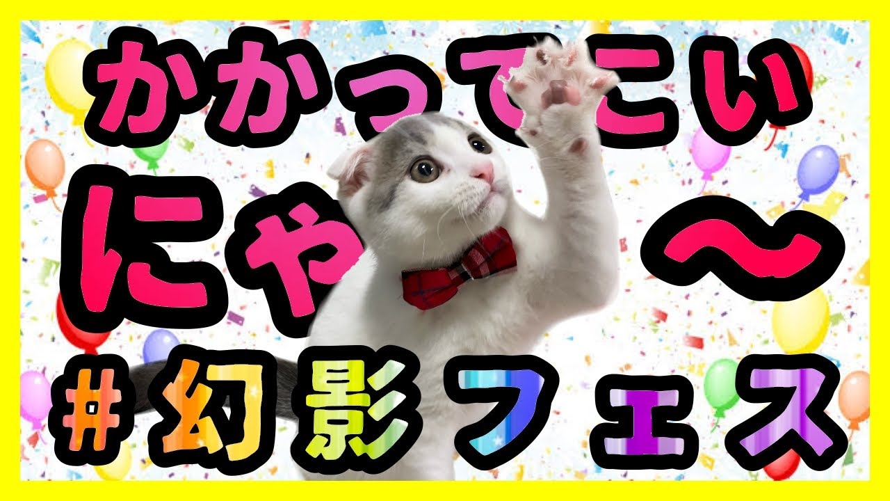 【FFBE幻影戦争】ハッシュタグは#幻影フェス！！！【幻影フェス】【コスプレイヤーまこにゃん】