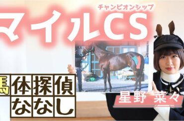 【マイルCS】マイル王の座は誰の手に？馬体の完成度が申し分ないななしの推し馬を発表!!