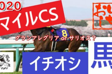 マイルチャンピオンシップ2020　今週のイチオシ馬　グランアレグリアか、それともサリオスか？【競馬予想】
