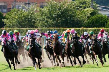 第45回 エリザベス女王杯　みんなで見よう【Vtuber】